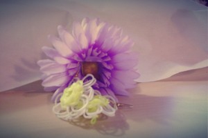 PhotoSoft_20160323_184111